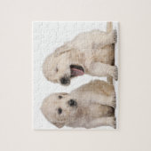 Hundewelpen (4 Wochen alt) Puzzle (Vertikal)