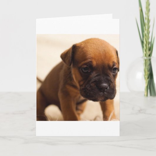 Hundewelpen Karte (Vorderseite)