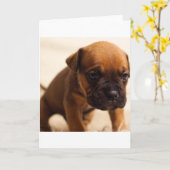 Hundewelpen Karte (Gelbe Blume)