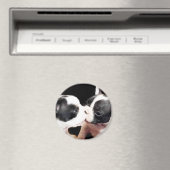 Hundewelpen Magnet (In Situ (Geschirrspüler))