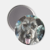 Hundewelpen Magnet (Vorderseite/Rückseite)