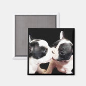 Hundewelpen Magnet (Vorderseite/Rückseite)