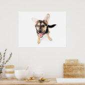 Hundewelpen Poster (Küche)