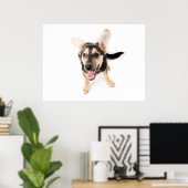 Hundewelpen Poster (Heimbüro)