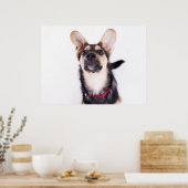 Hundewelpen Poster (Küche)