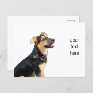 Hundewelpen Postkarte