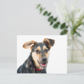 Hundewelpen Postkarte (Stehend Vorderseite)