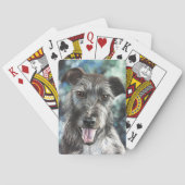 Hundewelpen Spielkarten (Rückseite)