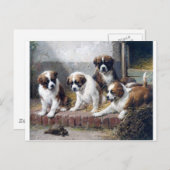 Hundewelpen St. Bernard niedliche Malhunde Postkarte (Vorne/Hinten)