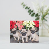 Hundewelpen zu Weihnachten Mops (Stehend Vorderseite)
