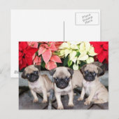 Hundewelpen zu Weihnachten Mops (Vorne/Hinten)