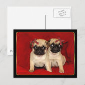 Hundewelpen zu Weihnachten Mops (Vorne/Hinten)