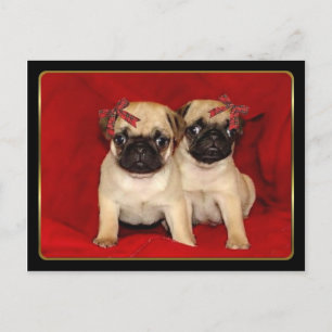 Hundewelpen zu Weihnachten Mops