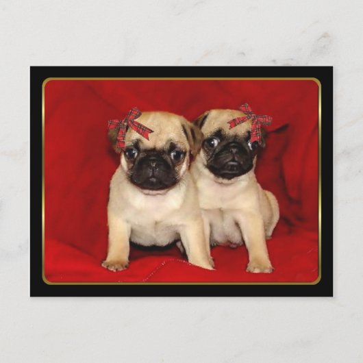 Hundewelpen zu Weihnachten Mops (Vorderseite)