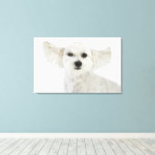 Hundewinden Leinwanddruck (Insitu (Holzboden))