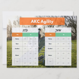 HUNDEZUCHTVERBAND Agility Master STD & JWW Titel T