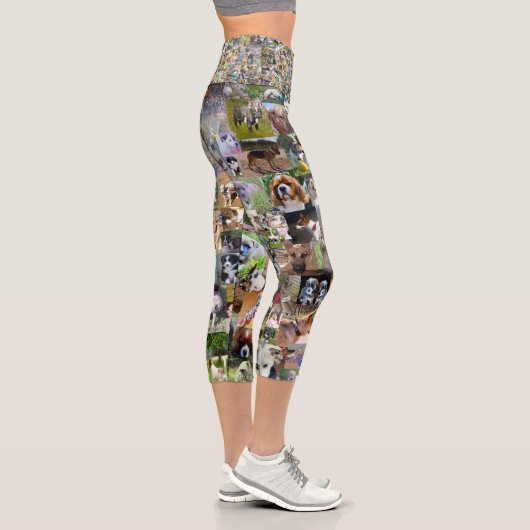 Hundfoto Collage, Capri Leggings (Rechts)