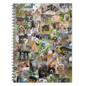 Hundfoto Collage, Notizblock (Vorderseite)
