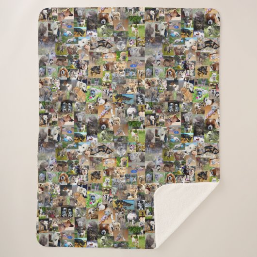 Hundfoto Collage, Sherpadecke (Vorderseite)