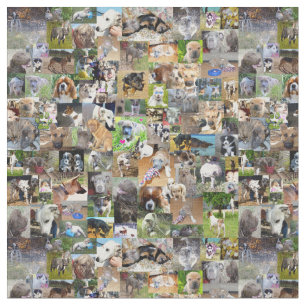 Hundfoto Collage, Stoff