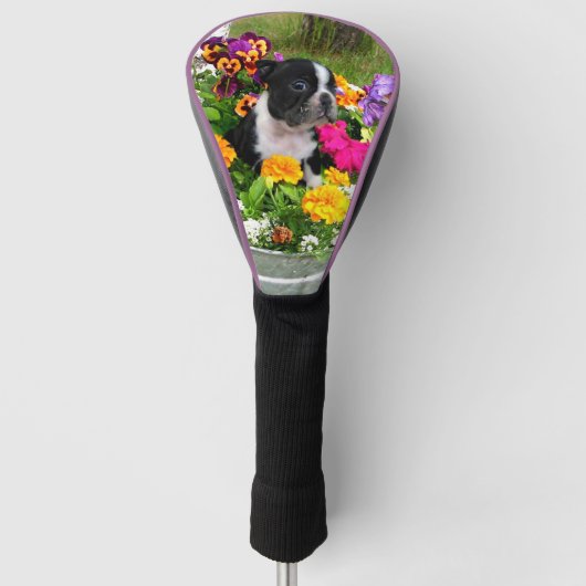 Hundfrühlings-Bostons Terrier golf-Fahrerabdeckung Golf Headcover (Vorderseite)