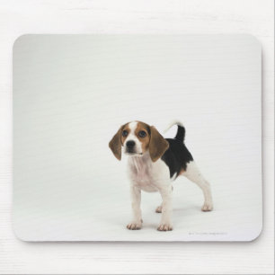 Hundhund Mousepad