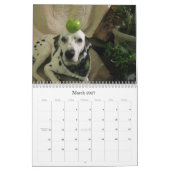 HundPawfile Kalender 2010 (Mär 2027)