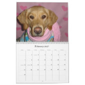 HundPawfile Kalender 2010 (Feb 2027)