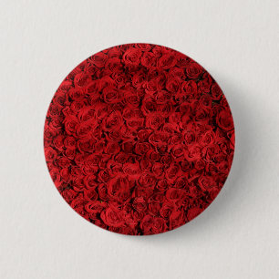 Hundreds of Beautiful Red Roses Button