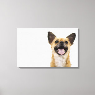 Hundshund Leinwanddruck