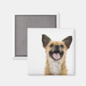 Hundshund Magnet (Vorderseite/Rückseite)