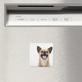 Hundshund Magnet (In Situ (Geschirrspüler))