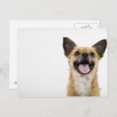 Hundshund Postkarte (Vorne/Hinten)