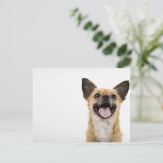 Hundshund Postkarte (Stehend Vorderseite)