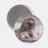 Hundshunde Magnet (Vorderseite/Rückseite)