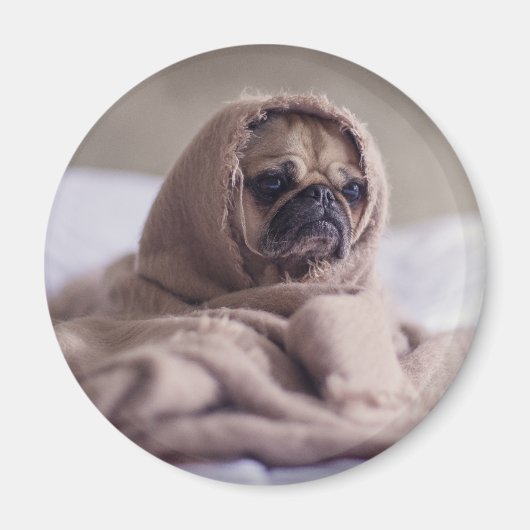 Hundshunde Magnet (Vorne)