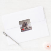 Hundshunde Quadratischer Aufkleber (Umschlag)