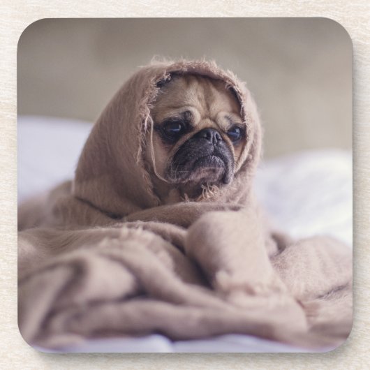 Hundshunde Untersetzer (Vorderseite)
