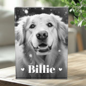 Hundshunzherzen Fotoblock