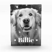 Hundshunzherzen Fotoblock (Vorderseite)