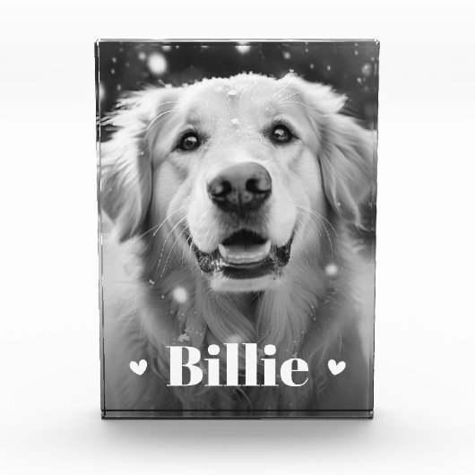 Hundshunzherzen Fotoblock (Vorderseite)