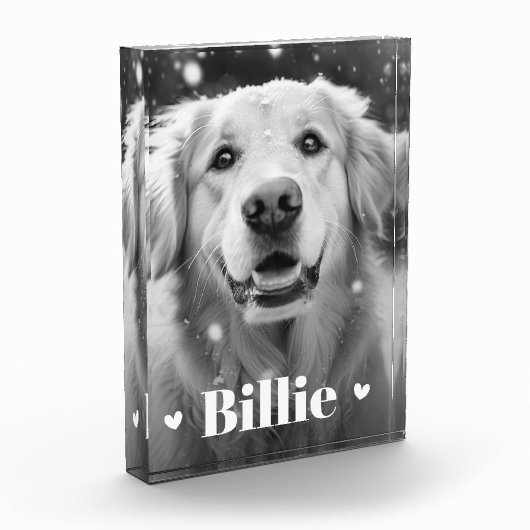 Hundshunzherzen Fotoblock (Links)