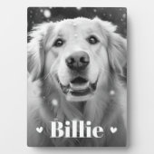 Hundshunzherzen Fotoplatte (Vorderseite)