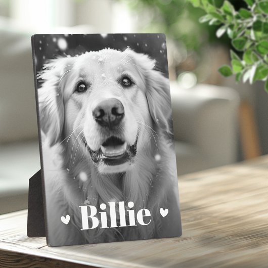 Hundshunzherzen Fotoplatte