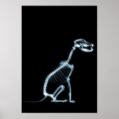 HUNDSITZUNG RÖHRLICHER SKELETON - BLAU & SCHWARZ POSTER (Vorne)