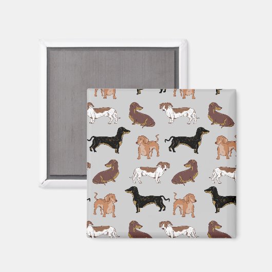 Hundsmuster der Dackel Magnet (Vorderseite/Rückseite)