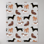 Hundsmuster der Dackel Poster (Vorne)