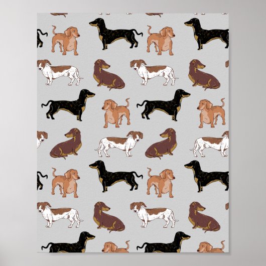 Hundsmuster der Dackel Poster (Vorne)