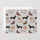 Hundsmuster der Dackel Postkarte (Vorne/Hinten)