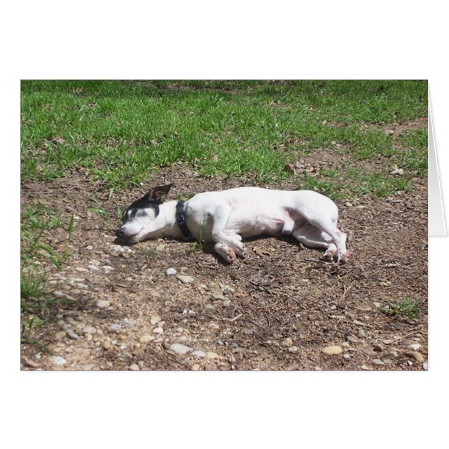 Hundstage (Vorderseite (Horizontal))